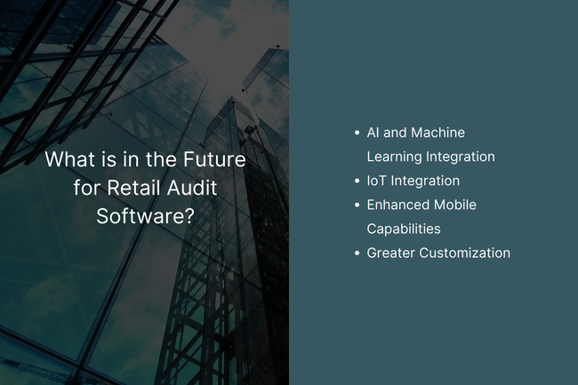 Efficient Retail Store Auditing with Software