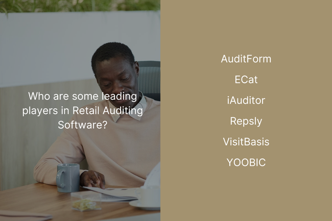 Efficient Retail Auditing with Software
